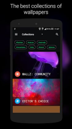 Wallz: Wallpaper APP