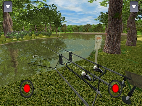 Download 3DCARP Mod Apk