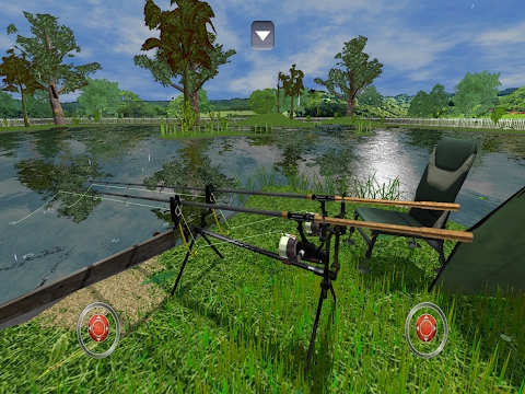 3DCARP2 Mod Apk