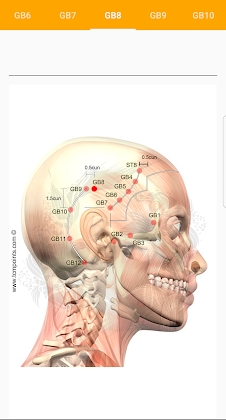 Download Acupuncture Assistant Mod Apk