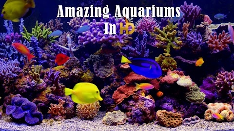 Amazing Aquariums In HD Mod Apk