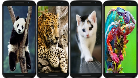 Download animal wallpaper Mod Apk