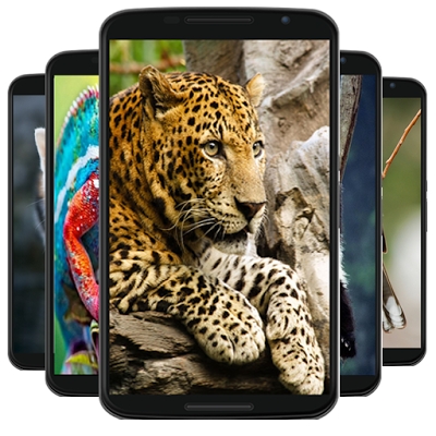 animal wallpaper Mod Apk