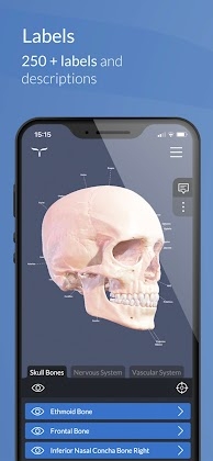 Head Atlas Mod Apk