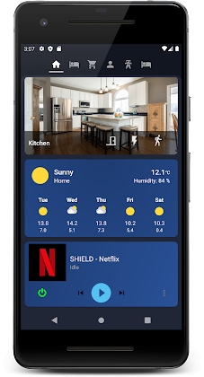 Ariela Pro - Home Assistant Client Mod Apk