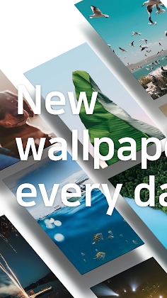 Backgrounds HD (Wallpapers) Mod Apk