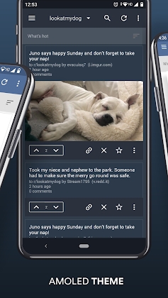 Download BaconReader Premium for Reddit Mod Apk