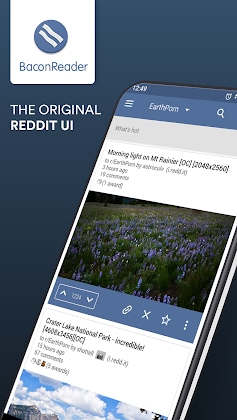 BaconReader Premium for Reddit Mod Apk