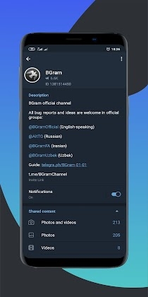 Download BGram Mod Apk
