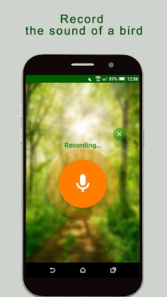 BirdNerd - Bird Song Identifier Mod Apk