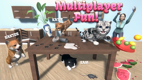 Cat Simulator - and friends Mod Apk