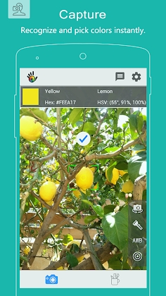 Color Grab (color detection) Mod Apk