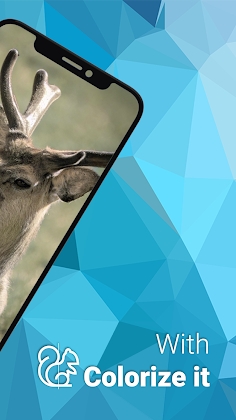 Download Colorize it - Colorize Photos Mod Apk