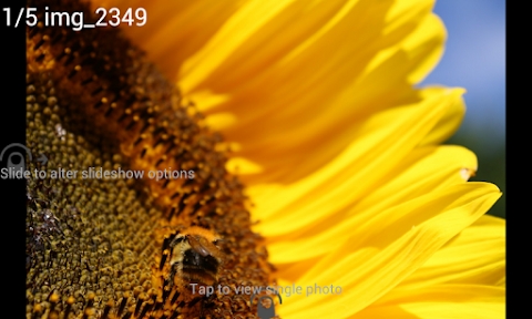 Download Digital Photo Frame Premium Mod Apk