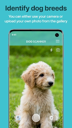 Dog Scanner: Breed Recognition Mod Apk