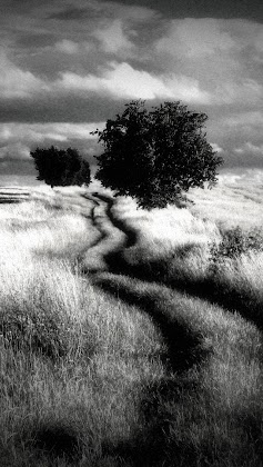 Download Dramatic Black & White Mod Apk