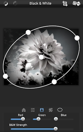 Dramatic Black & White Mod Apk