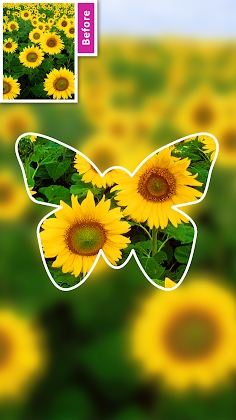 Download DSLR Blur Background, Bokeh bg Mod Apk