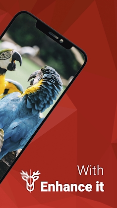 Download Enhance it - Fix your photos Mod Apk