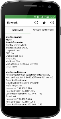 Ethwork: Netstat & Interfaces Mod Apk