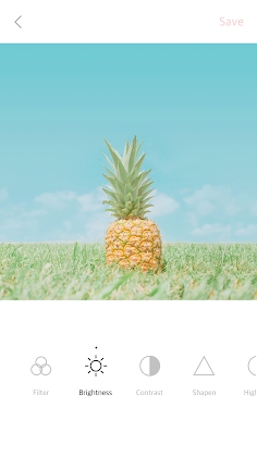 Download Feelm Rosy - Analog Filters Mod Apk