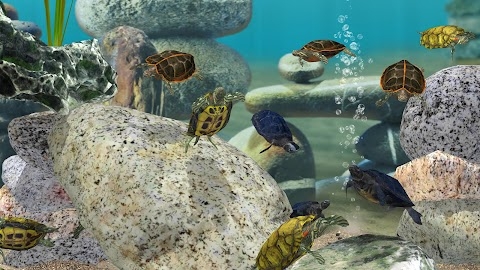 Download Fish Farm 3 - Aquarium Mod Apk