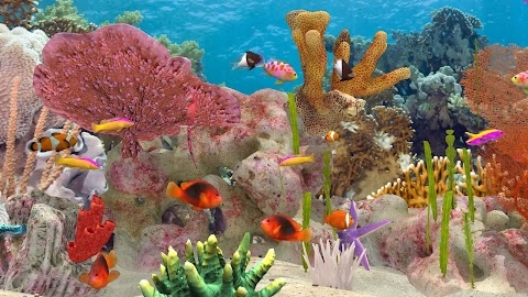 Fish Farm 3 - Aquarium Mod Apk