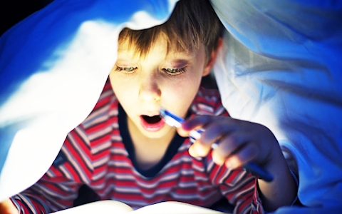Flashlight: White LED Torch Mod Apk