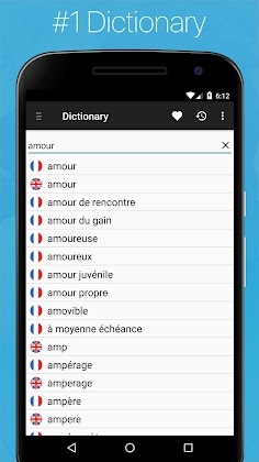 Download French English Dictionary Mod Apk