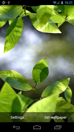 Fresh Leaves Mod Apk