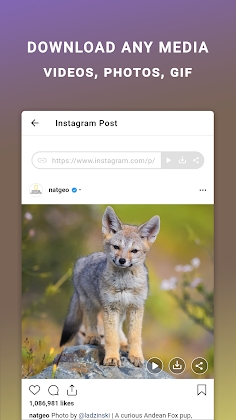 Download Friendly IQ - Smart tools for your social accounts Mod Apk
