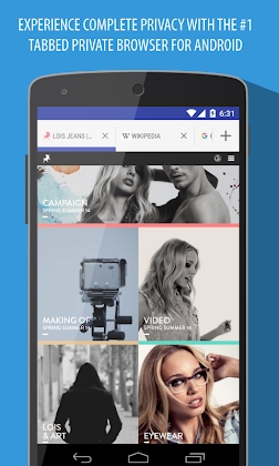 Frost+ Incognito Browser Mod Apk