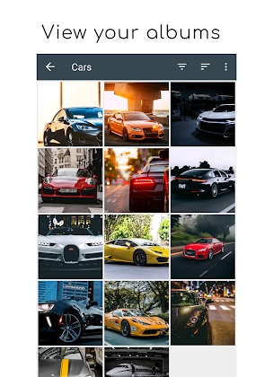 Download Gallery Pro: Photo Manager & Editor Mod Apk