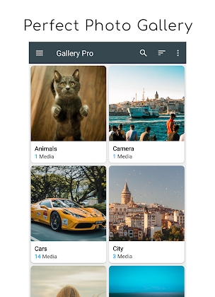Gallery Pro: Photo Manager & Editor Mod Apk
