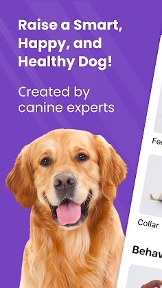 GoDog: Puppy & Dog Training Mod Apk