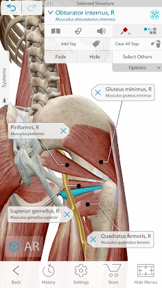 Download Human Anatomy Atlas 2021: Complete 3D Human Body Mod Apk