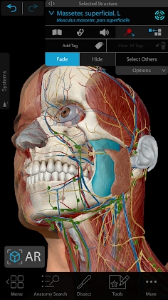 Human Anatomy Atlas 2021: Complete 3D Human Body Mod Apk