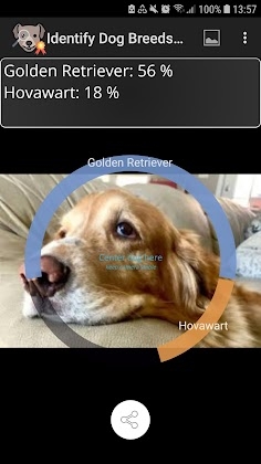 Download Identify Dog Breeds Pro Mod Apk