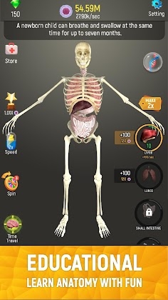 Idle Human Mod Apk