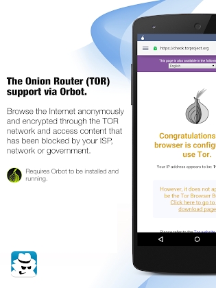 Download InBrowser - Incognito Browsing Mod Apk