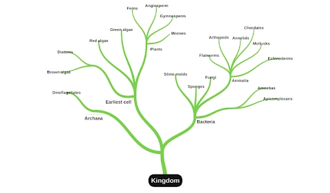 Download miMind - Easy Mind Mapping Mod Apk