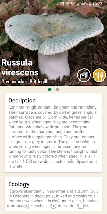 Download Mushrooms app Mod Apk