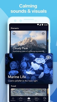 Download Music Zen - Relaxing Sounds Mod Apk