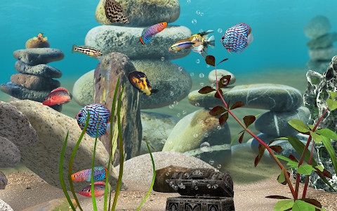 Download MyLake 3D Aquarium Mod Apk