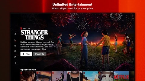 Netflix  Mod Apk