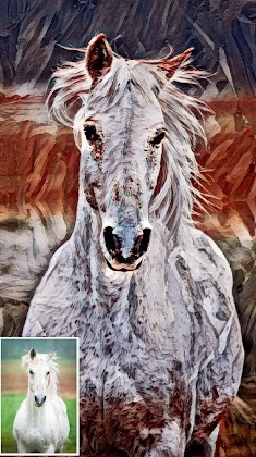 Download Painnt - Pro Art Filters Mod Apk