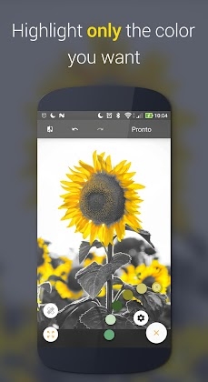 Download Paletta - Smart color splash Mod Apk