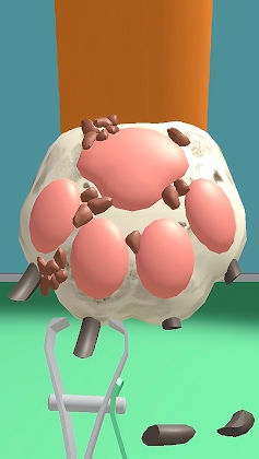 Download Paw Care Mod Apk