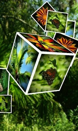 Download Photo Cube Live Wallpaper Mod Apk