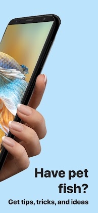 Download Picture Fish - Fish Identifier Mod Apk
